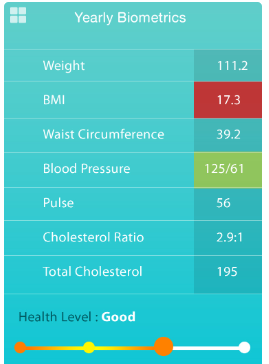 Creative%20Software%20Consulting